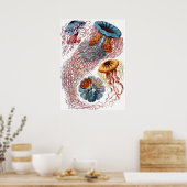 ヴィンテージErnst Haeckel, Discomedusae ポスター (キッチン)