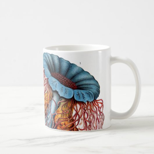 ヴィンテージErnst Haeckel, Discomedusae マグカップ (右)