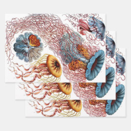 ヴィンテージErnst Haeckel, Discomedusae ラッピングペーパーシート