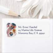 ヴィンテージErnst Haeckel, Discomedusae ラベル (インサイチュ)