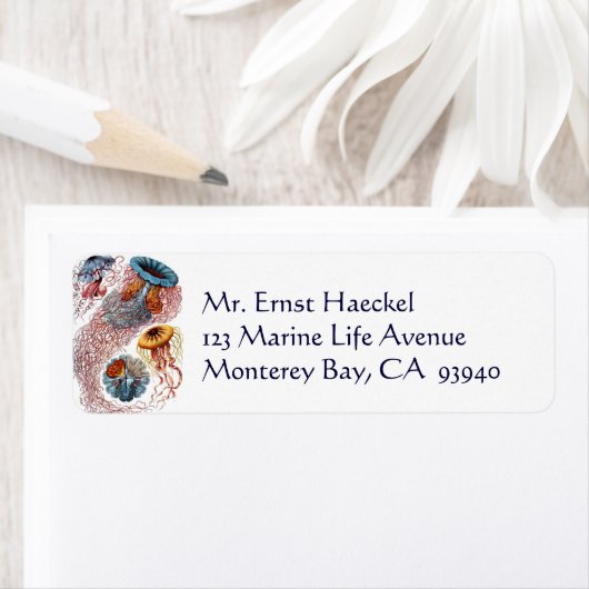 ヴィンテージErnst Haeckel, Discomedusae ラベル (インサイチュ)