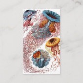 ヴィンテージErnst Haeckel, Discomedusae 名刺 (裏面)
