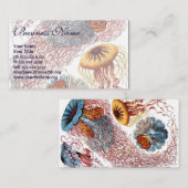 ヴィンテージErnst Haeckel, Discomedusae 名刺 (正面/裏面)