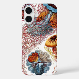 ヴィンテージErnst Haeckel, Discomedusae iPhone 16ケース