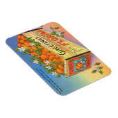 ヴィンテージFlorida Citrus Fruitからの挨拶 マグネット (右側)