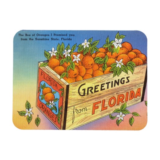 ヴィンテージFlorida Citrus Fruitからの挨拶 マグネット (横)