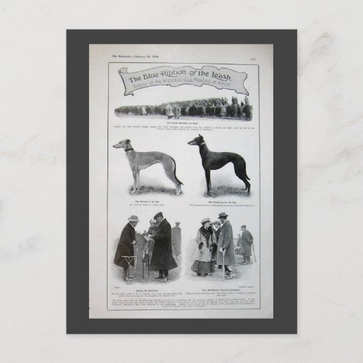 ヴィンテージGreyhoundニュースのクリッピング ポストカード (正面)