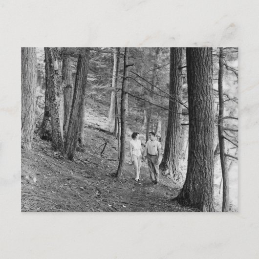 ヴィンテージIMPレイクハイキングトレイル、上部半島 ポストカード (正面)