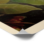 ヴィンテージLアマゾン旅行ポスター ポスター (角)