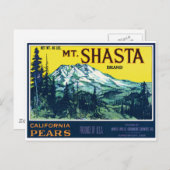 ヴィンテージMt Shsta California梨ラベル ポストカード (正面/裏面)
