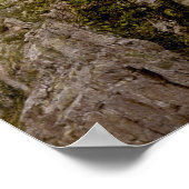 ヴィンテージNeuschwanstein Bayern 16インチx 20インチ ポスター (角)