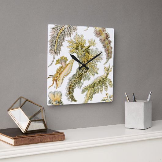 ヴィンテージNudibranchia、シースラグby Ernst Haeckel スクエア壁時計 (オフィス)