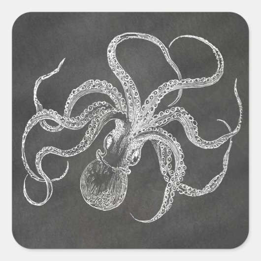 ヴィンテージOctopus Chalkboard背景テンプレート スクエアシール (正面)