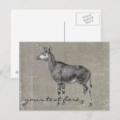 ヴィンテージOkapi ポストカード (正面/裏面)