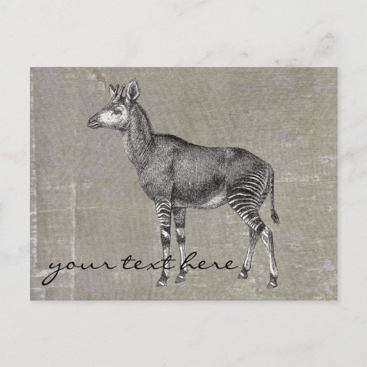 ヴィンテージOkapi ポストカード (正面)