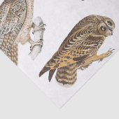 ヴィンテージOwlsパターンの分離 薄葉紙 (詳細)