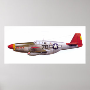 ヴィンテージP-51のムスタングのTuskegeeのパイロットの第二次世界大戦 ポスター