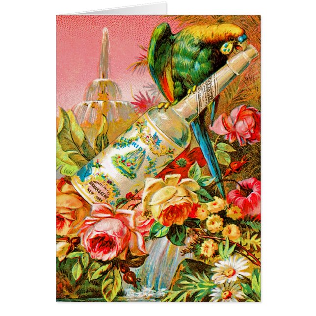 ヴィンテージParrott (正面)