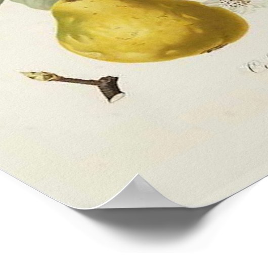 ヴィンテージPearポスター ポスター (角)