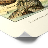 ヴィンテージReptiles by Adolphe Millot ポスター (角)