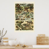 ヴィンテージReptiles by Adolphe Millot ポスター (キッチン)