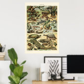 ヴィンテージReptiles by Adolphe Millot ポスター (ホームオフィス)