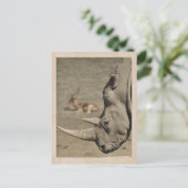 ヴィンテージRhinoはがき ポストカード (スタンド正面)