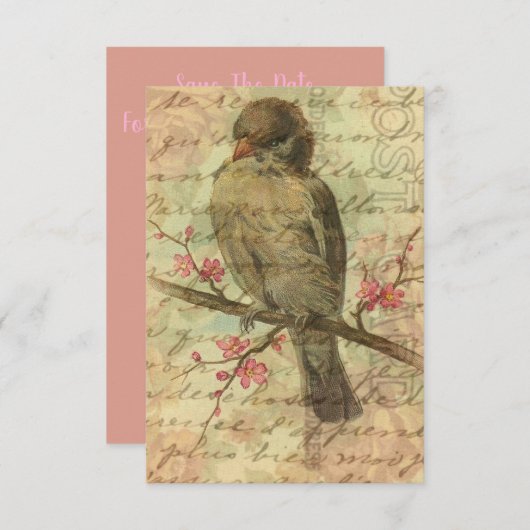 ヴィンテージSparrow Pinkの日付を結婚保存 (正面/裏面)