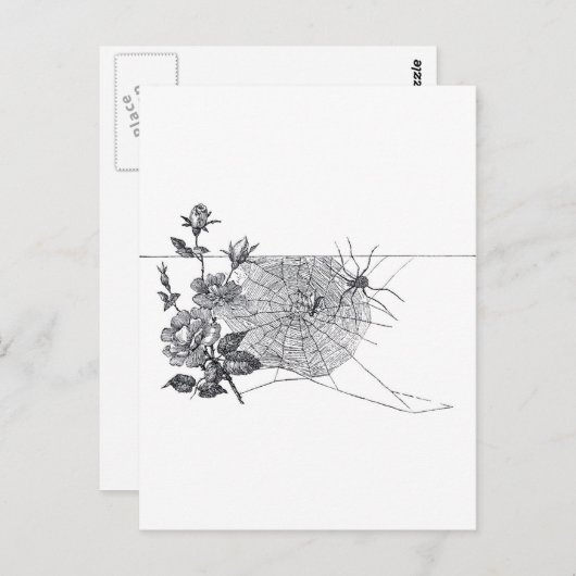 ヴィンテージSpider Webおよびバラ白黒 ポストカード (正面/裏面)