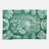 ヴィンテージTeleostei Shells and Fish by Ernst Haeckel キッチンタオル (横)