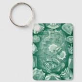 ヴィンテージTeleostei Shells and Fish by Ernst Haeckel キーホルダー (正面)