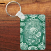 ヴィンテージTeleostei Shells and Fish by Ernst Haeckel キーホルダー (正面)