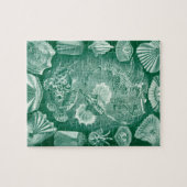 ヴィンテージTeleostei Shells and Fish by Ernst Haeckel ジグソーパズル (横)