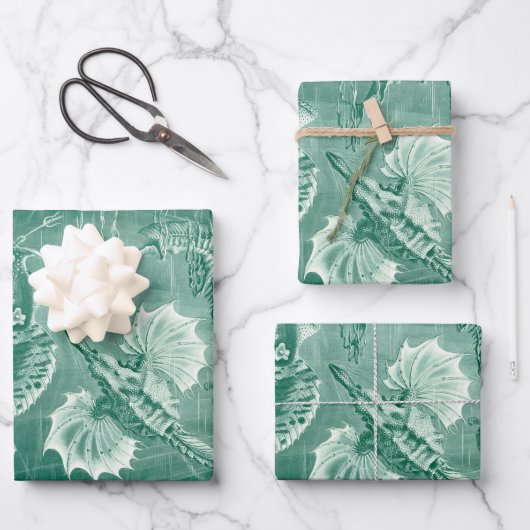 ヴィンテージTeleostei Shells and Fish by Ernst Haeckel ラッピングペーパーシート (正面)