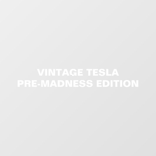 ヴィンテージTESLA PRE-MADNESS EDITION ウィンドウサイン (シート)