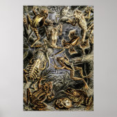 ヴィンテージToads and Frogs by Ernst Haeckel Poster ポスター (正面)