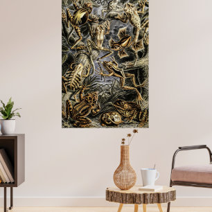 ヴィンテージToads and Frogs by Ernst Haeckel Poster ポスター