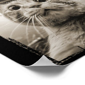 ヴィンテージUfoの遭遇 – おもしろい UfoとCat Sel ポスター (角)