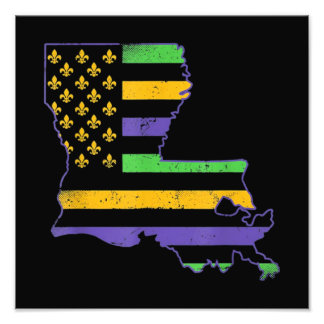 ヴィンテージUSニューオーリンズマルディグラ フォトプリント