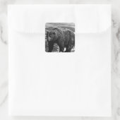 ヴィンテージUSAアラスカブラウンベア1970 スクエアシール (バッグ)