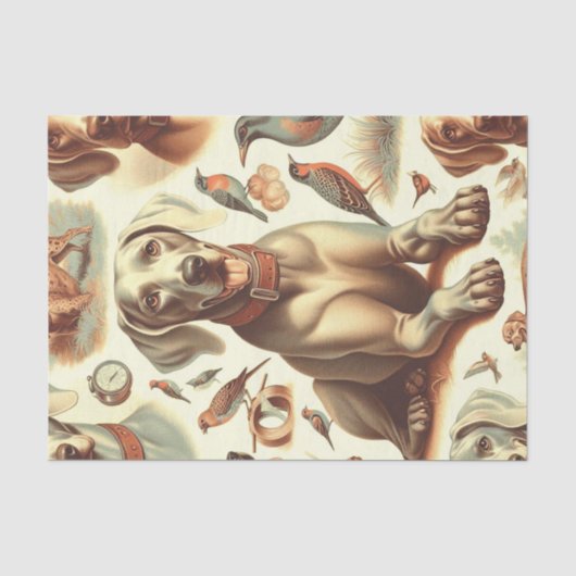 ヴィンテージWeimaranerシームレス 薄葉紙 (正面)