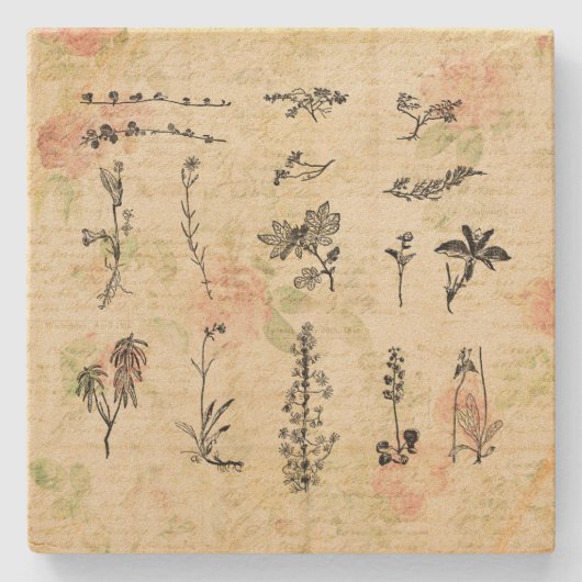 ヴィンテージWildflowersフローラスクリプトアート ストーンコースター (正面)