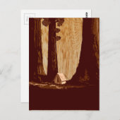 ヴィンテージWPAキャンピングインセコイア国立公園 ポストカード (正面/裏面)