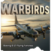 ヴィンテージWWII B-17要塞飛んでいる トライブレンドTシャツ