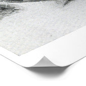 ヴィンテージX線亀 ポスター (角)