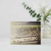 ヴィンヤードとバラフェンス結婚式の日付を保存 案内ポストカード (スタンド正面)