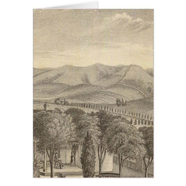 ヴィンヤード・パーマー・レス (正面)