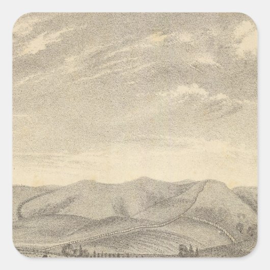 ヴィンヤード・パーマー・レス スクエアシール (正面)