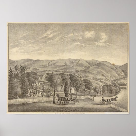 ヴィンヤード・パーマー・レス ポスター (正面)