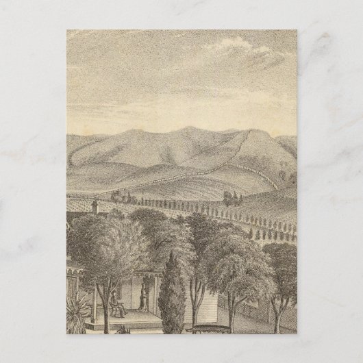 ヴィンヤード・パーマー・レス ポストカード (正面)